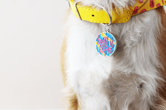 How to Choose the Perfect Custom Dog Tag