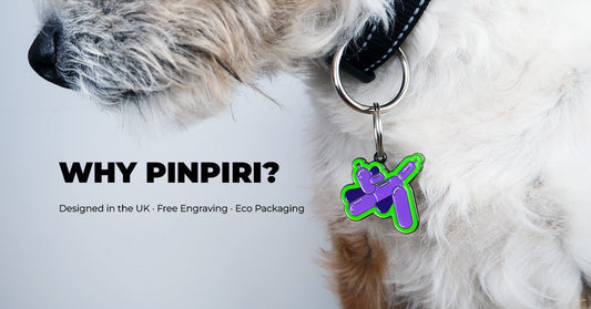 Unique Dog Tags for Stylish Pets: Why Pinpiri Is the Bold Alternative You’ve Been Looking For