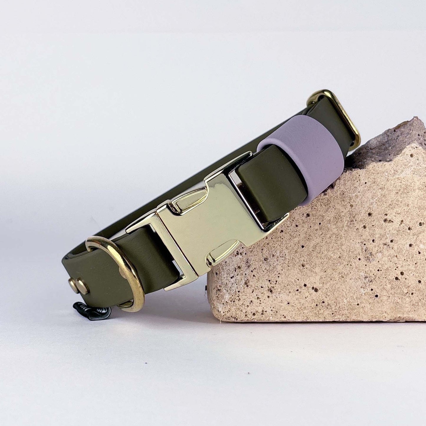 Biothane® Dog Collar – Green & Lilac