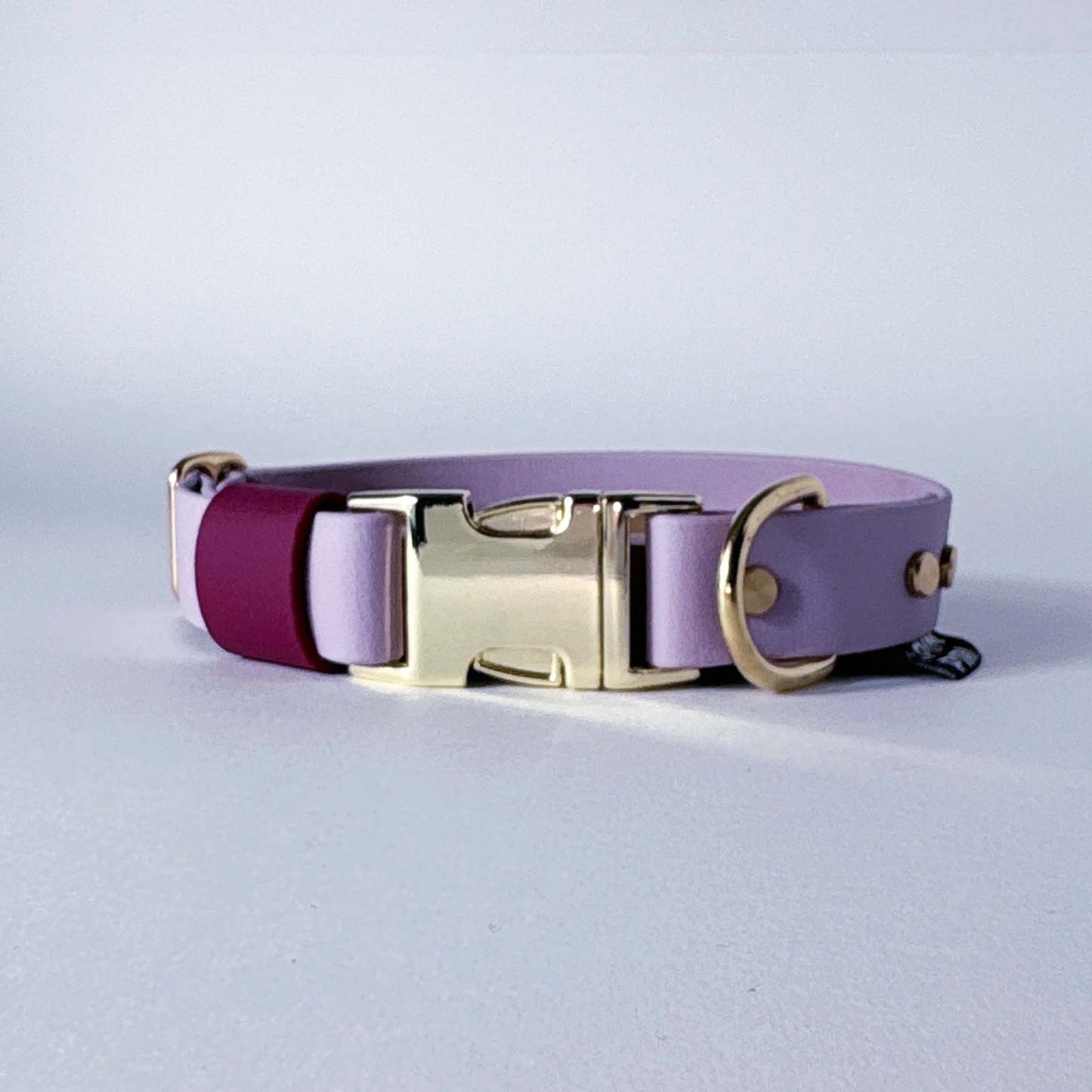 Biothane® Dog Collar – Lilac & Burgundy