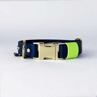 Biothane® Dog Collar – Blue & Neon Green
