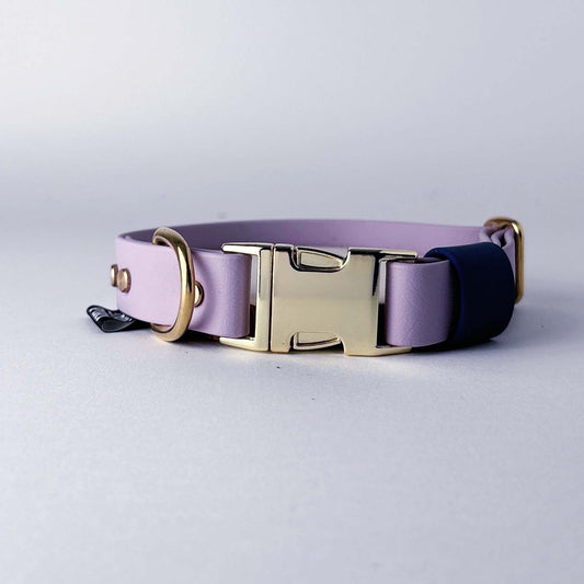 Biothane® Dog Collar – Lilac & Blue