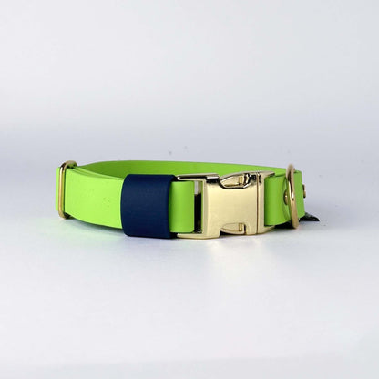 Biothane® Dog Collar – Neon Green & Blue