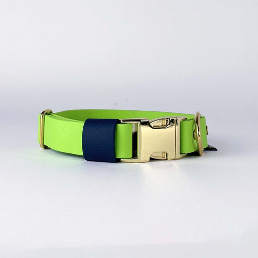 Biothane® Dog Collar – Neon Green & Blue