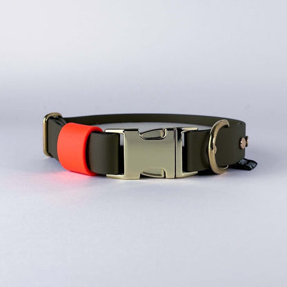 Biothane® Dog Collar – Green & Neon Orange