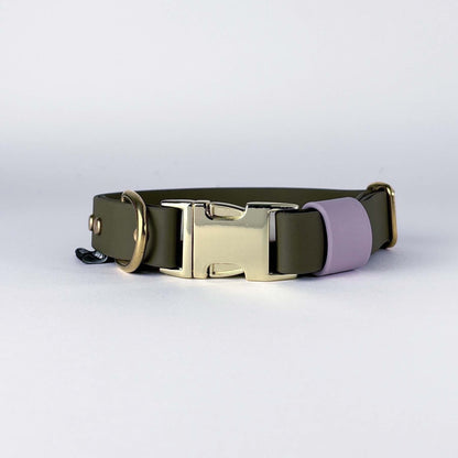 Biothane® Dog Collar – Green & Lilac