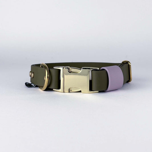 Biothane® Dog Collar – Green & Lilac