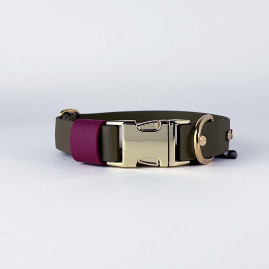 Biothane® Dog Collar – Green & Burgundy