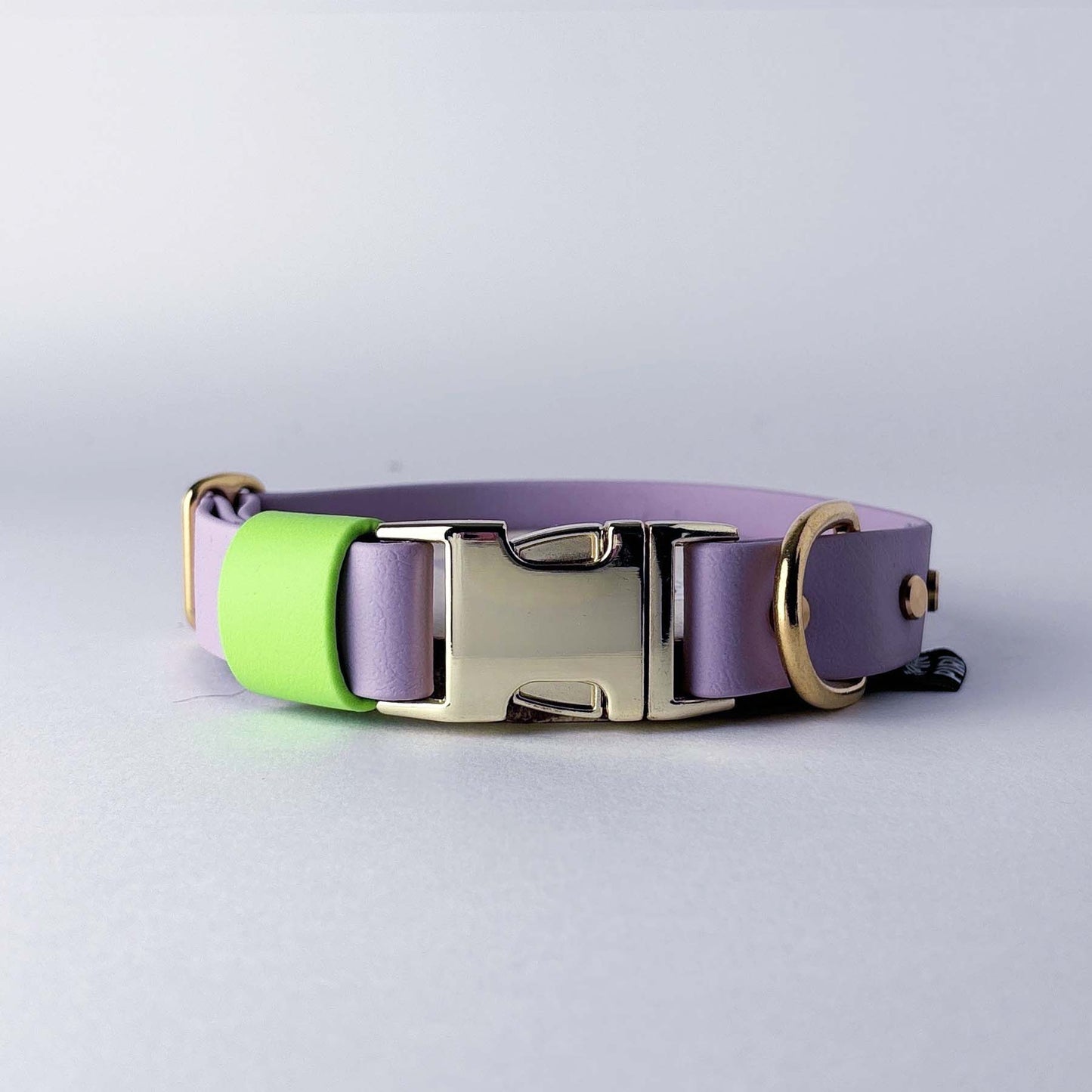 Biothane® Dog Collar – Lilac & Neon Green