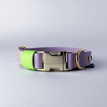 Biothane® Dog Collar – Lilac & Neon Green
