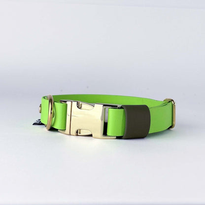 Biothane® Dog Collar – Neon Green & Green