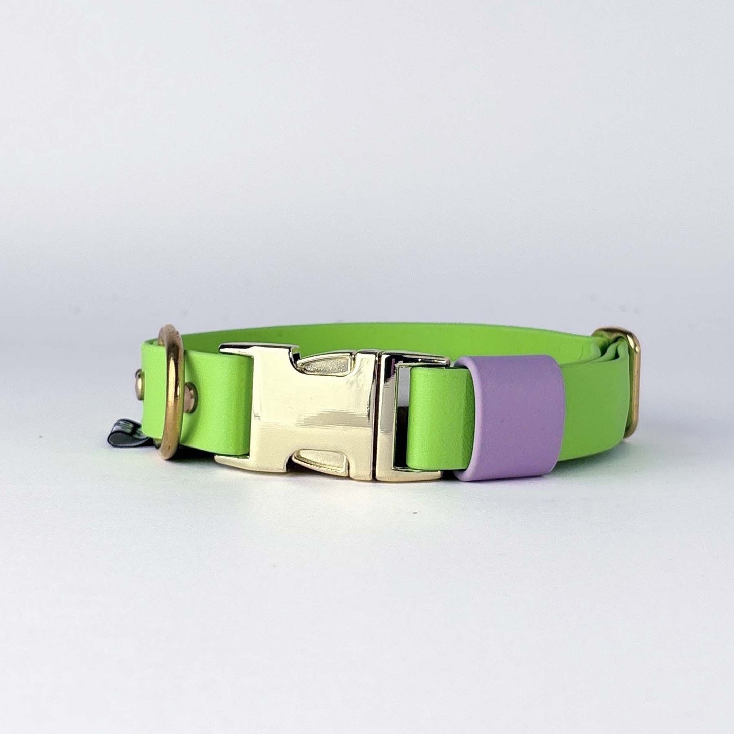 Biothane® Dog Collar – Neon Green & Lilac