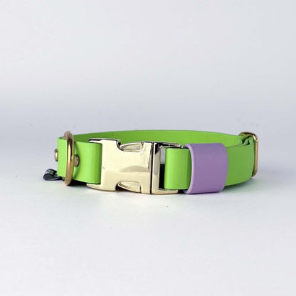 Biothane® Dog Collar – Neon Green & Lilac