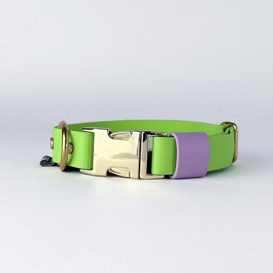 Biothane® Dog Collar – Neon Green & Lilac