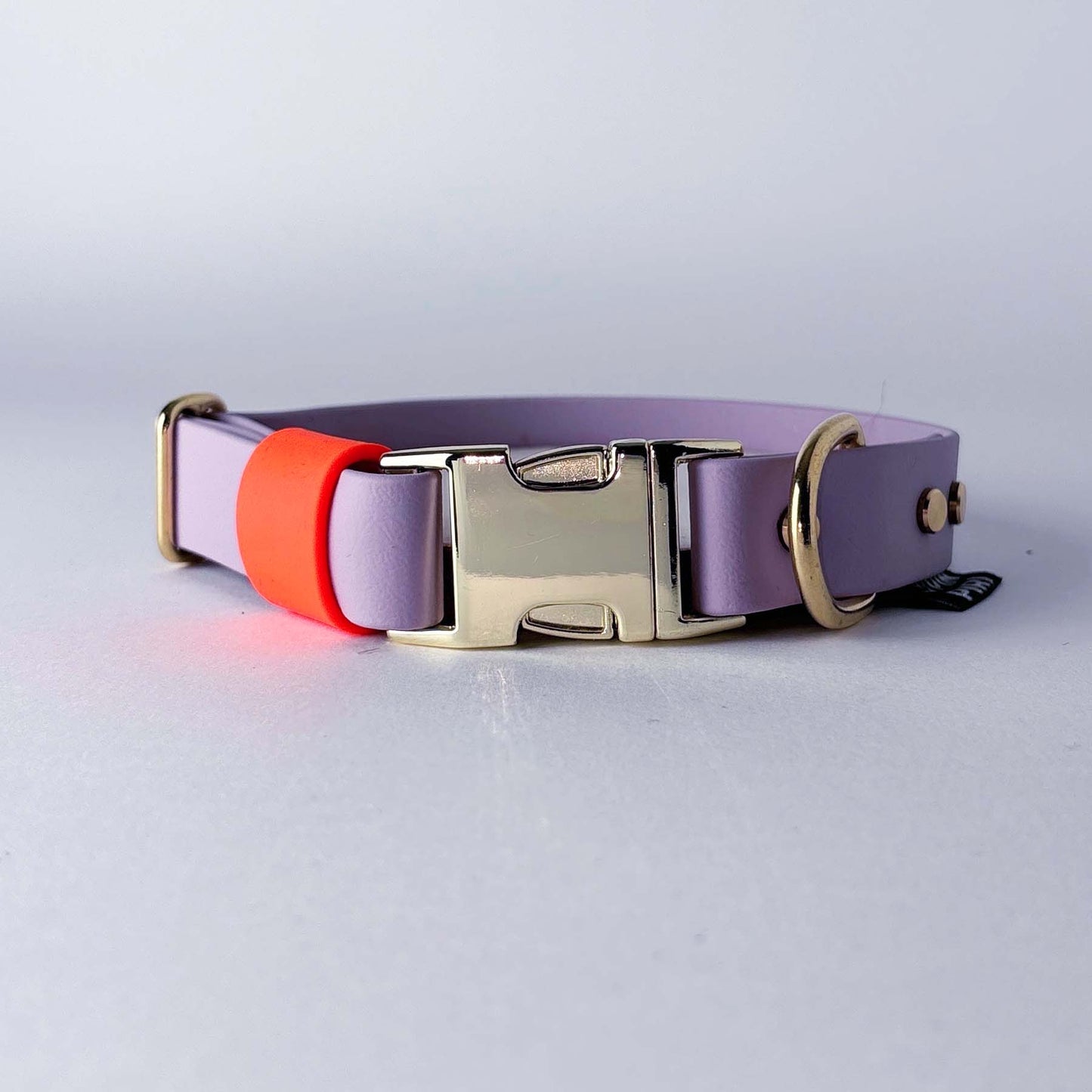 Biothane® Dog Collar – Lilac & Neon Orange