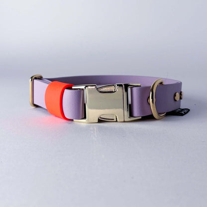 Biothane® Dog Collar – Lilac & Neon Orange