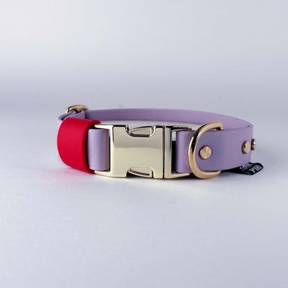 Biothane® Dog Collar – Lilac & Red