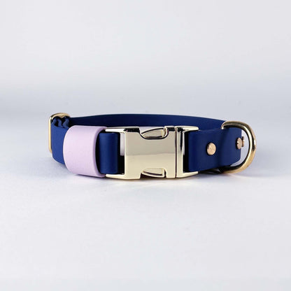 Biothane® Dog Collar – Blue & Lilac