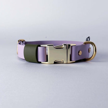 Biothane® Dog Collar – Lilac & Green