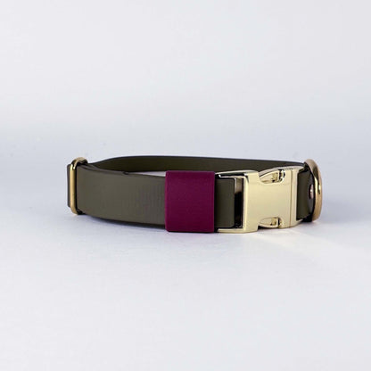 Biothane® Dog Collar – Green & Burgundy