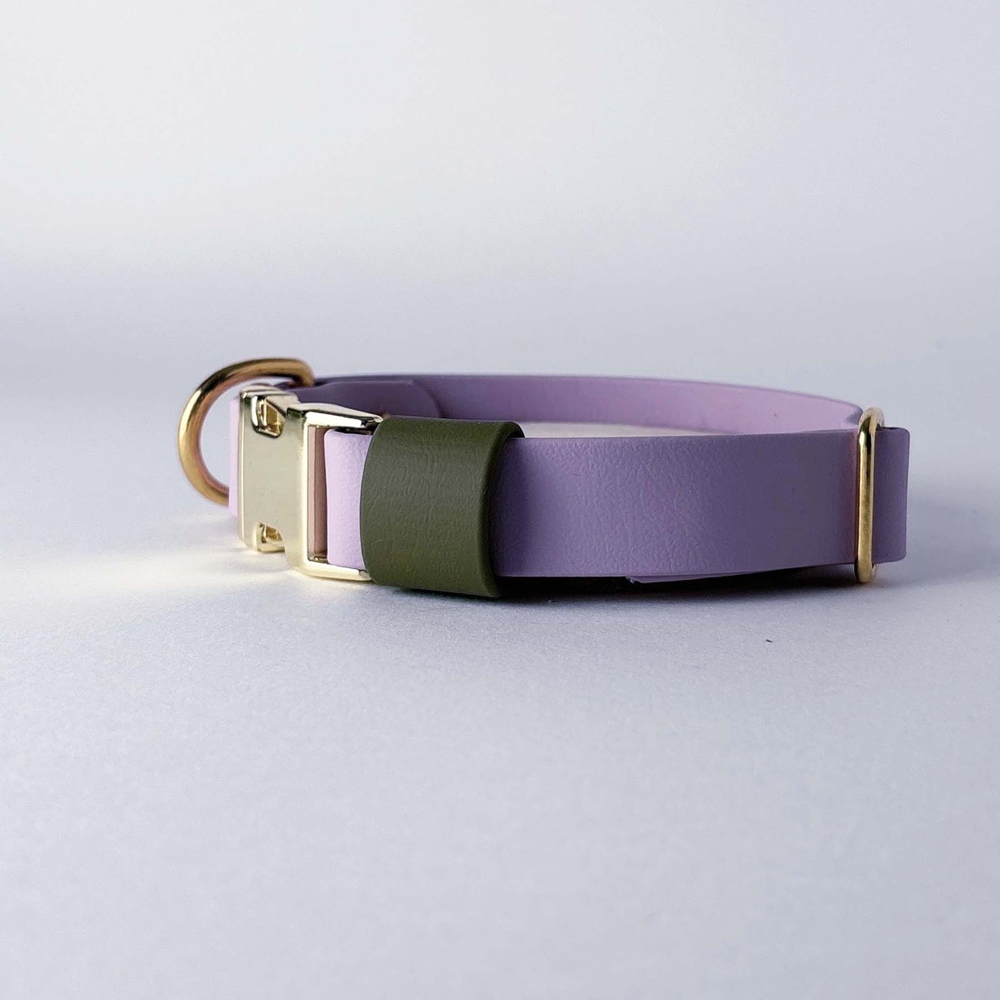 Biothane® Dog Collar – Lilac & Green