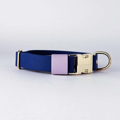 Biothane® Dog Collar – Blue & Lilac