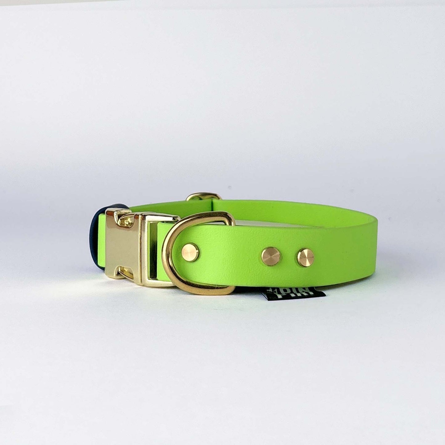 Biothane® Dog Collar – Neon Green & Blue