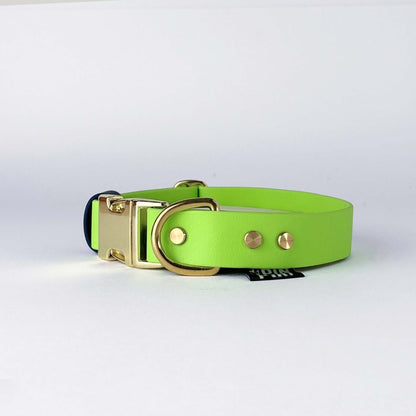 Biothane® Dog Collar – Neon Green & Blue