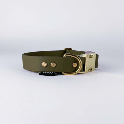 Biothane® Dog Collar – Green & Lilac