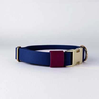 Biothane® Dog Collar – Blue & Burgundy