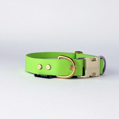 Biothane® Dog Collar – Neon Green & Lilac