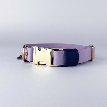 Biothane® Dog Collar – Lilac & Blue