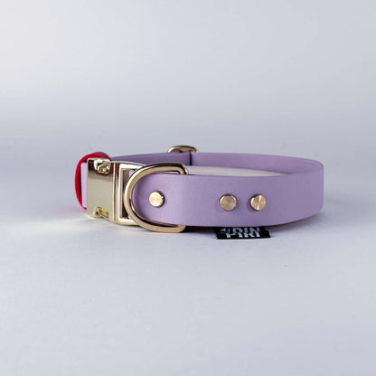 Biothane® Dog Collar – Lilac & Red