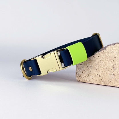 Biothane® Dog Collar – Blue & Neon Green