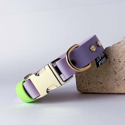Biothane® Dog Collar – Lilac & Neon Green