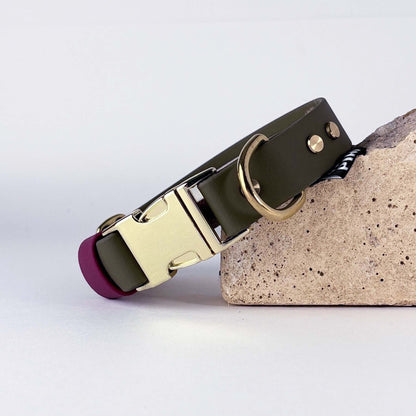 Biothane® Dog Collar – Green & Burgundy