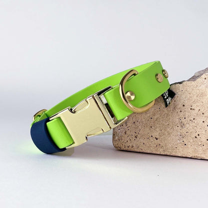 Biothane® Dog Collar – Neon Green & Blue