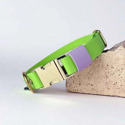 Biothane® Dog Collar – Neon Green & Lilac