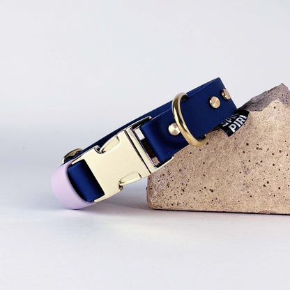 Biothane® Dog Collar – Blue & Lilac
