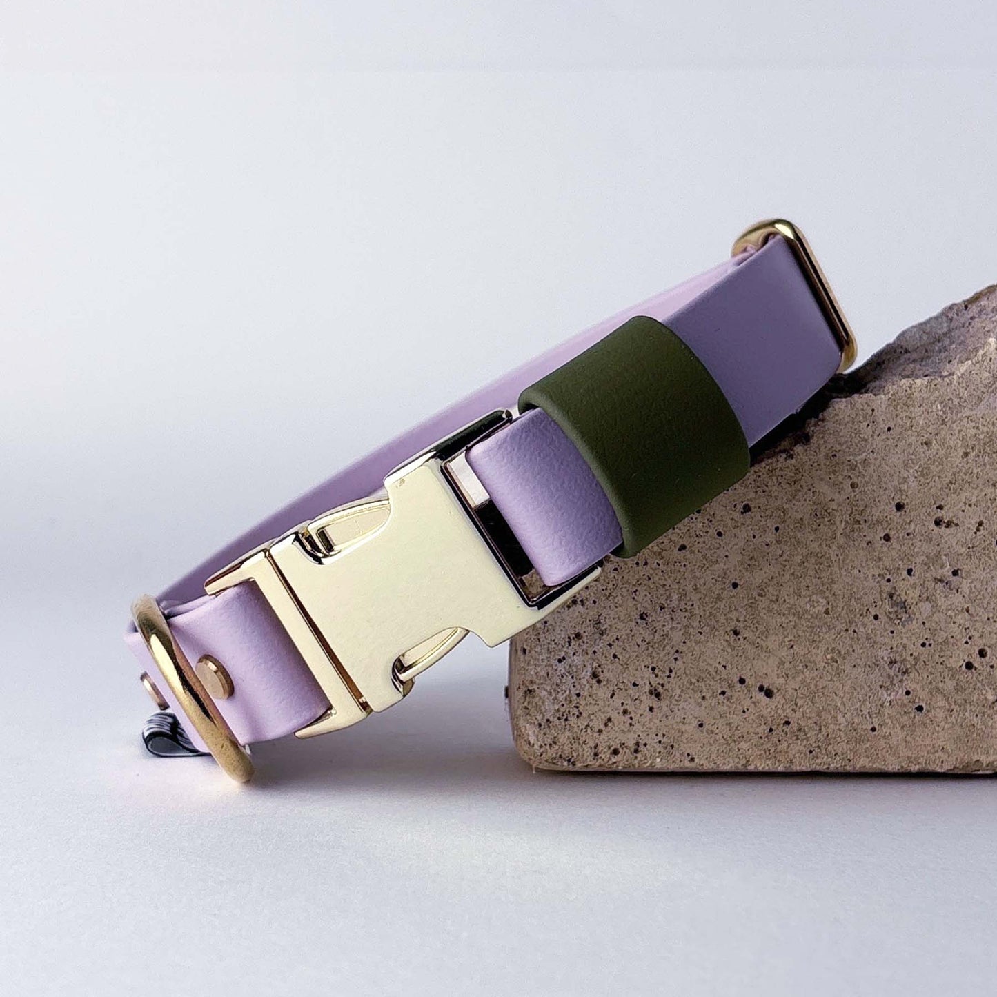 Biothane® Dog Collar – Lilac & Green