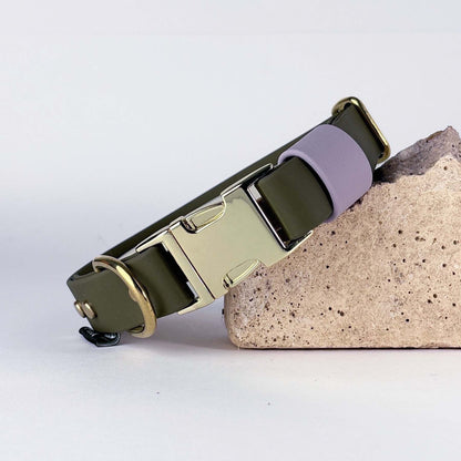 Biothane® Dog Collar – Green & Lilac