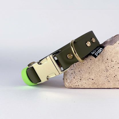 Biothane® Dog Collar – Green & Neon Green