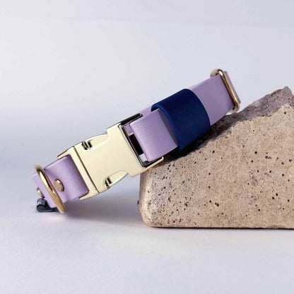 Biothane® Dog Collar – Lilac & Blue