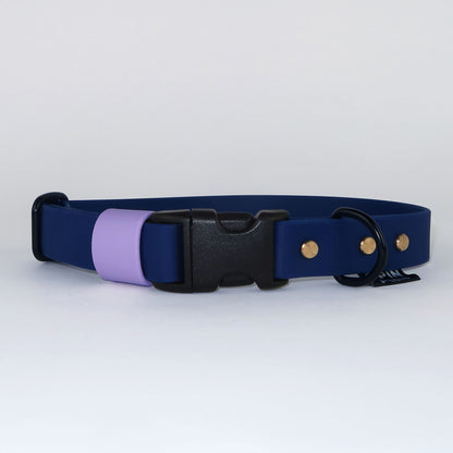Biothane Street Collar™ – Blue / Lilac