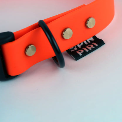 Biothane Street Collar™ – Neon Orange / Blue