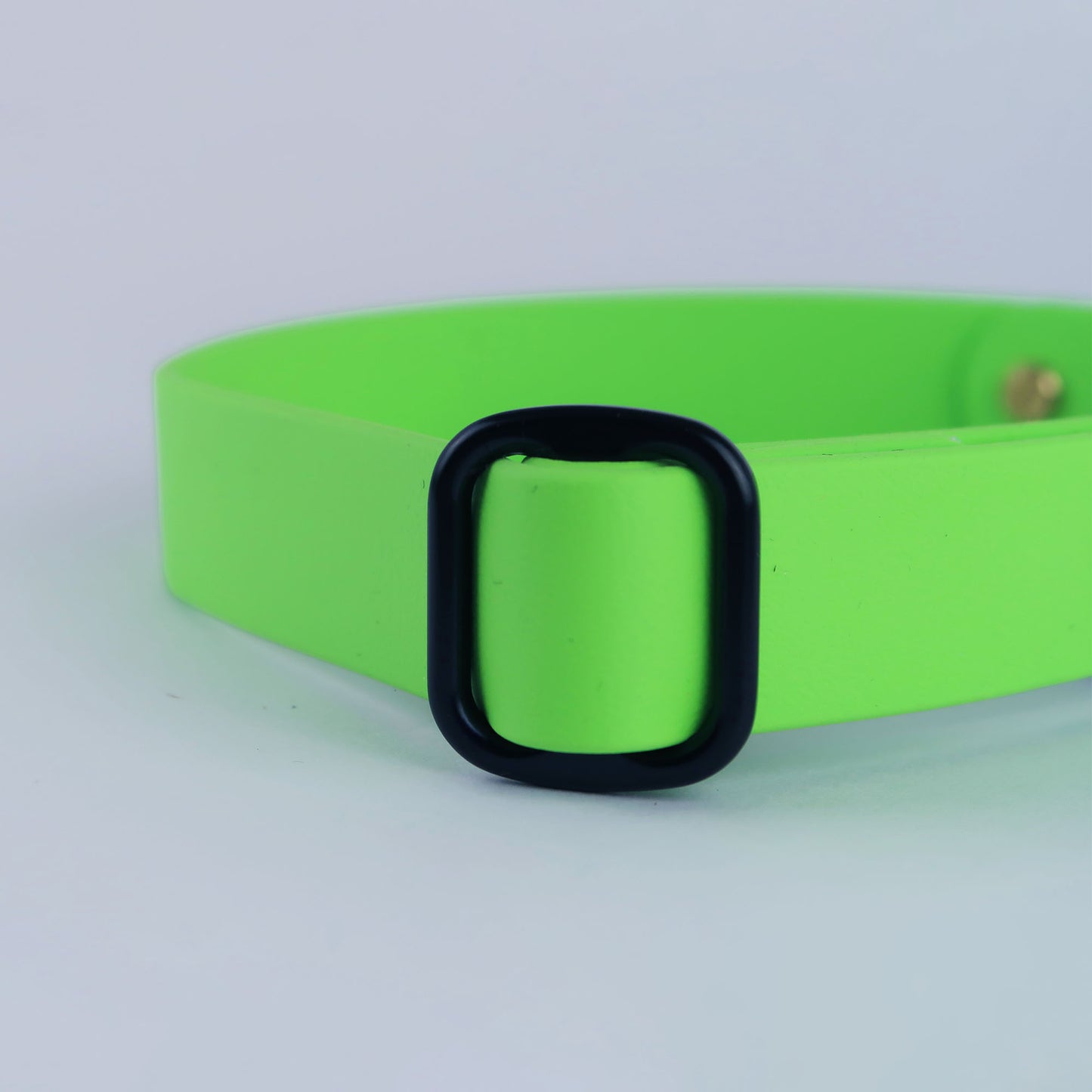 Biothane Street Collar™ – Neon Green / Blue