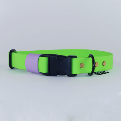 Biothane Street Collar™ – Neon Green / Lilac