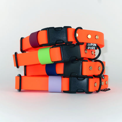 Biothane Street Collar™ – Neon Orange / Blue