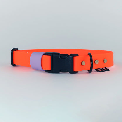Biothane Street Collar™ – Neon Orange / Lilac