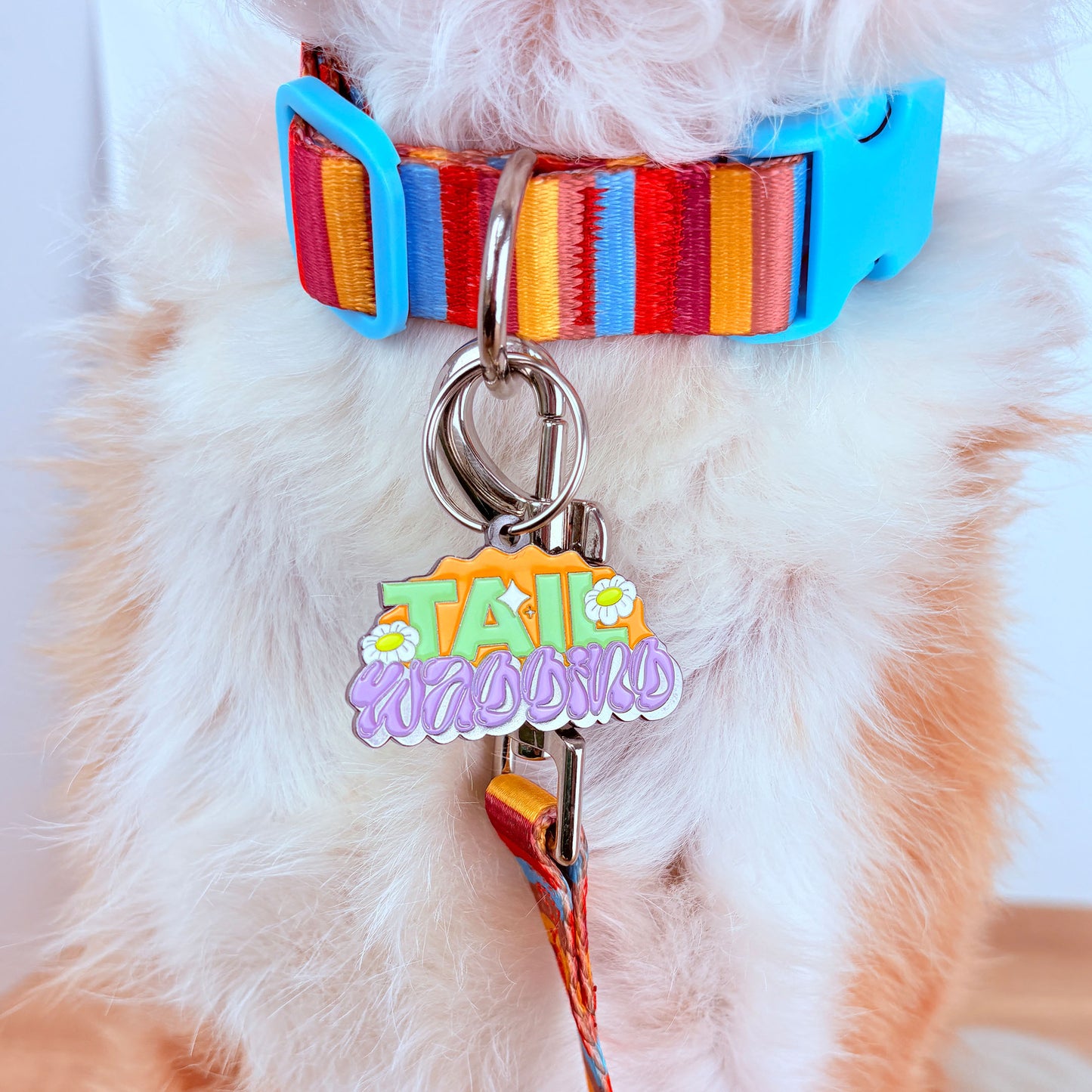 Tail Waggin'